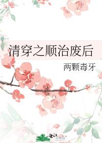 清穿之顺治废后