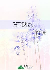 HP赌约