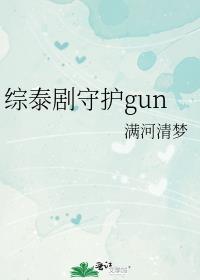 综泰剧守护gun