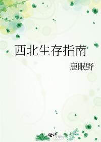 西北生存指南