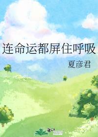 连命运都屏住呼吸