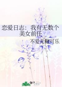 恋爱日志：我有无数个美女前任