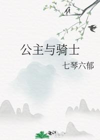 公主与骑士