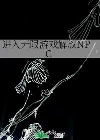 进入无限游戏解放NPC