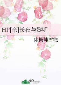 HP[亲]长夜与黎明