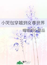 小哭包穿越到女尊世界