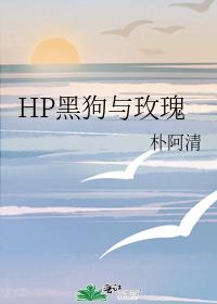 HP黑狗与玫瑰