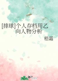 [排球]个人存档用乙向人物分析