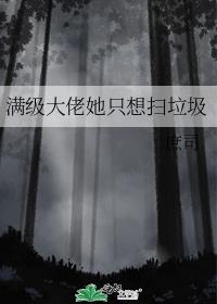 满级大佬她只想扫垃圾