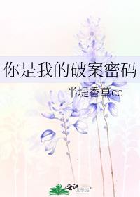 你是我的破案密码