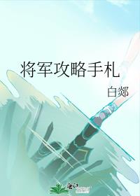 将军攻略手札