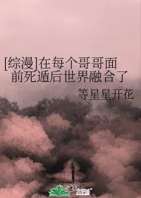 [综漫]在每个哥哥面前死遁后世界融合了