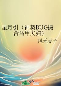 星月引（神契BUG撮合马甲夫妇）