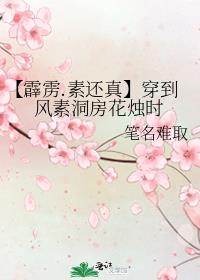 【霹雳.素还真】穿到风素洞房花烛时