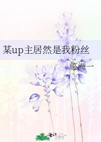 某up主居然是我粉丝