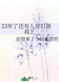 23年了还有人在打游戏王