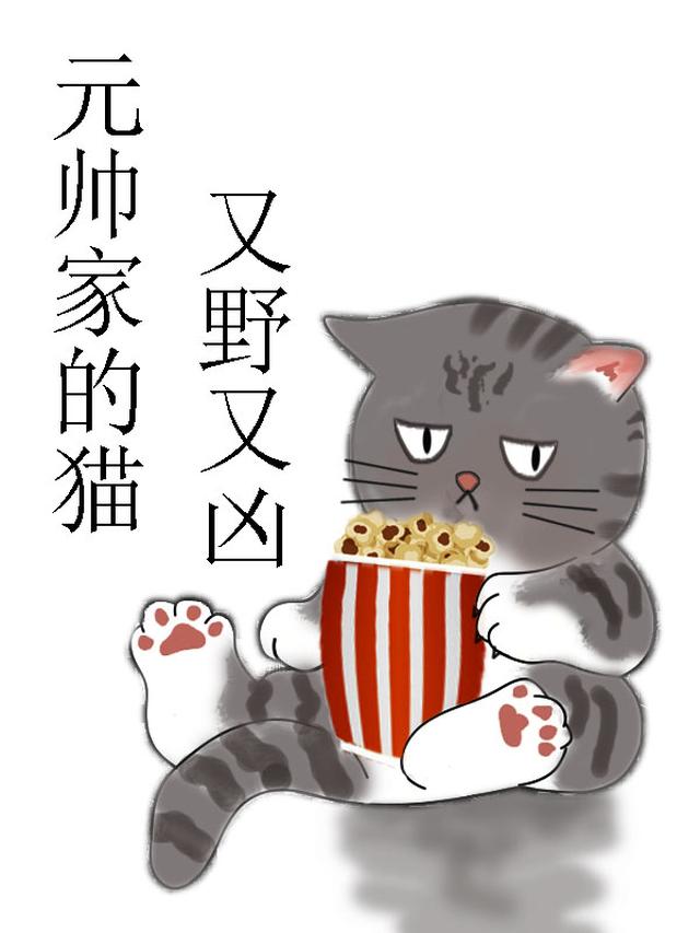 残疾元帅家的猫又野又凶