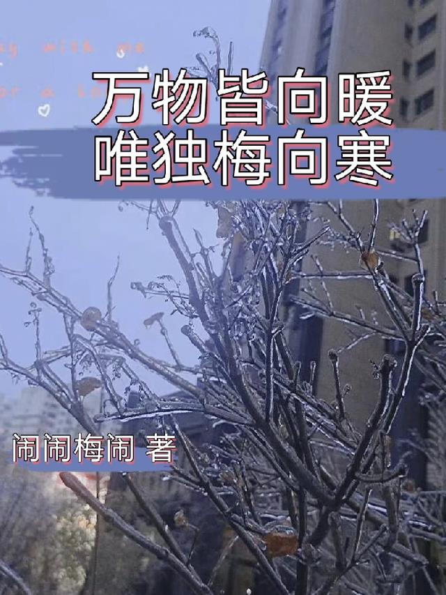 万物皆向暖,唯独梅向寒