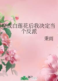 穿成白莲花后我决定当个反派