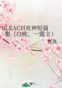 BLEACH死神短篇集（白桃、一露主）