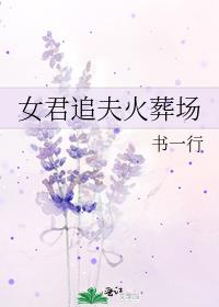 女君追夫火葬场